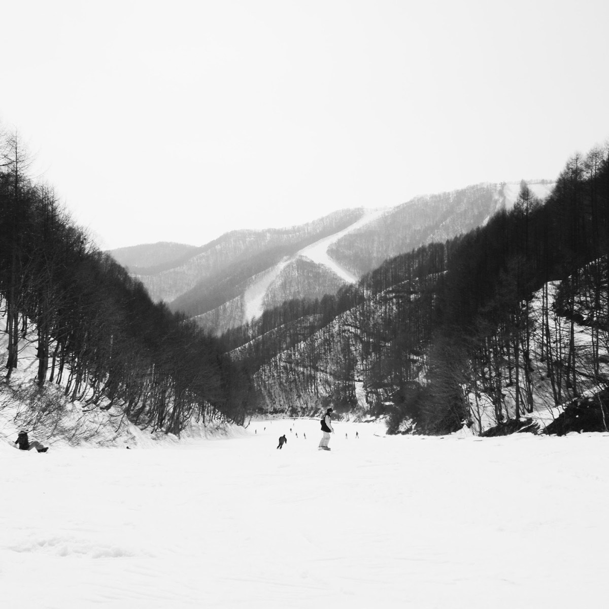 The March Link&nbsp;Love